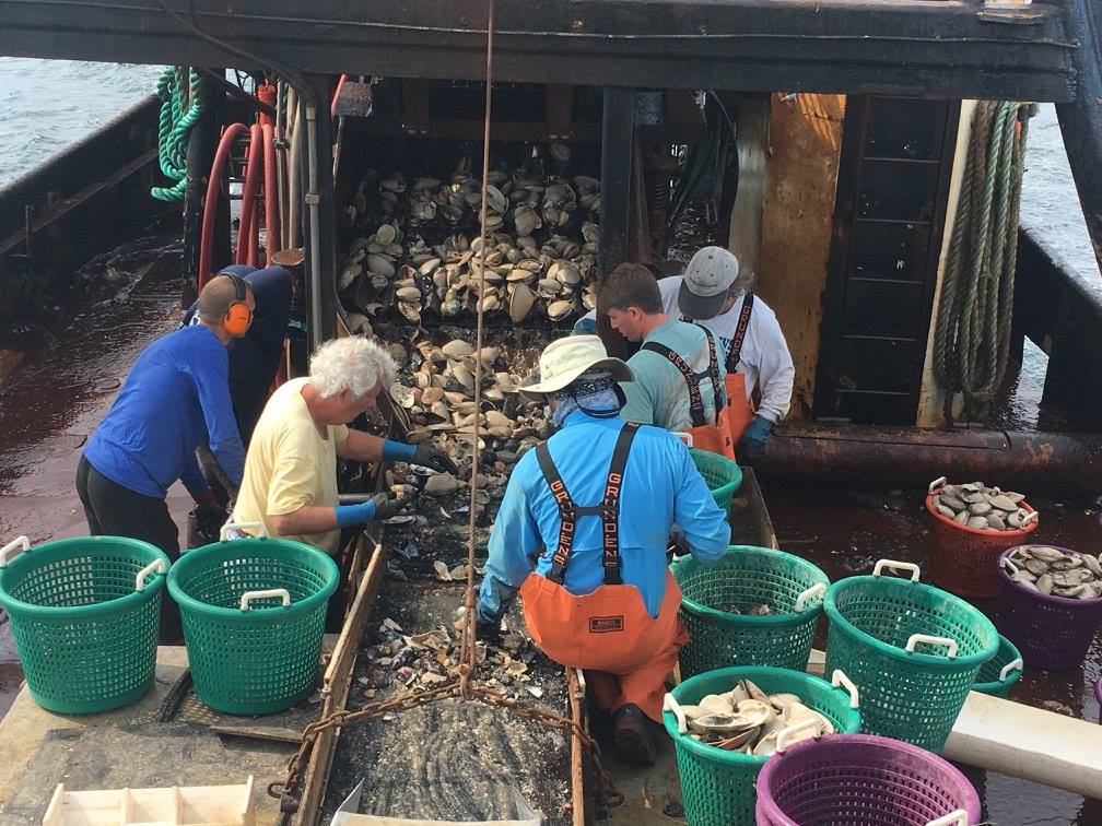 SCeMFiS research crew sorting clams