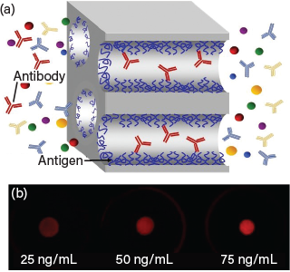 Depiction of functionalized membranes