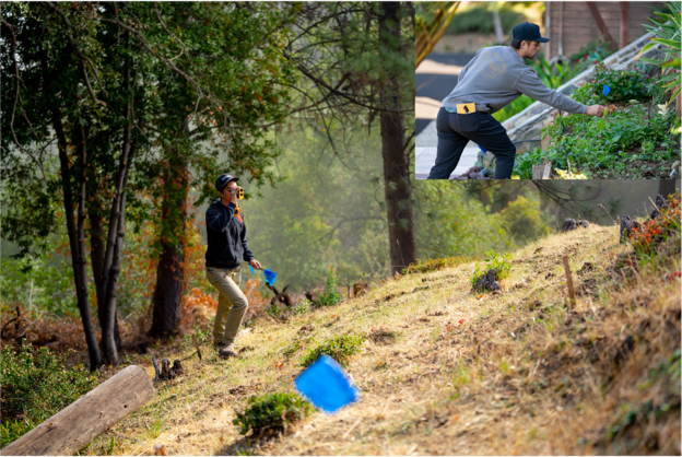 students working in a forest